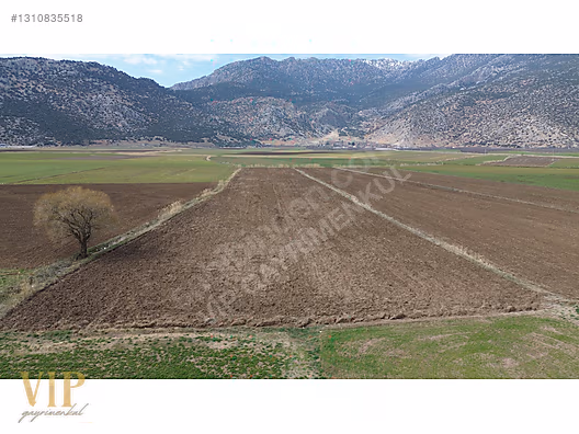 VİP GAYRİMENKUL'den BÖLGENİN EN SULAK YERİNDE 8.041m² TARLA - ANTALYA ELMALI fotoğraf 9