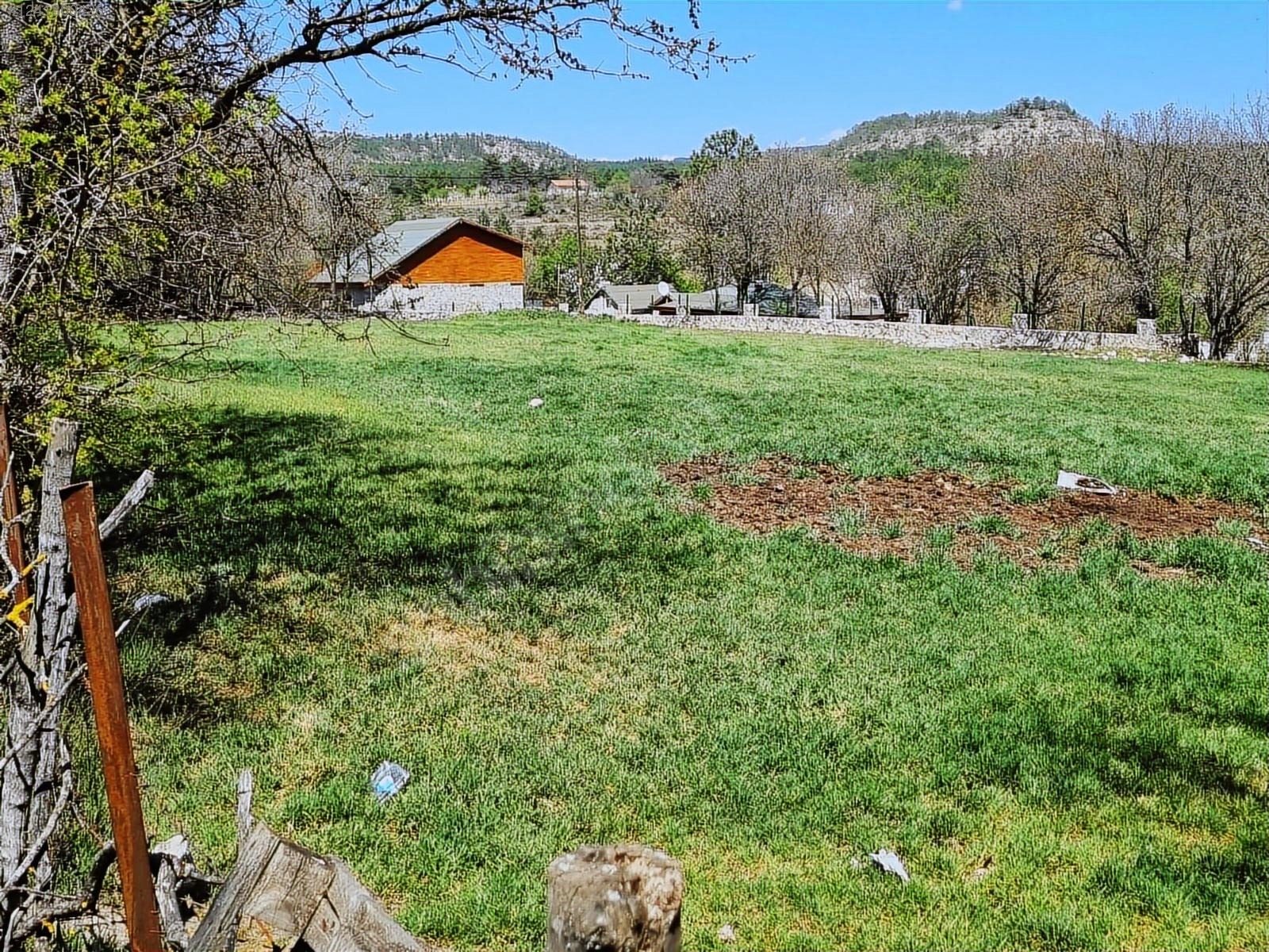 Cadde Emlaktan Yazıköy de Satılık 837m² Tarla - KARABÜK SAFRANBOLU fotoğraf 6