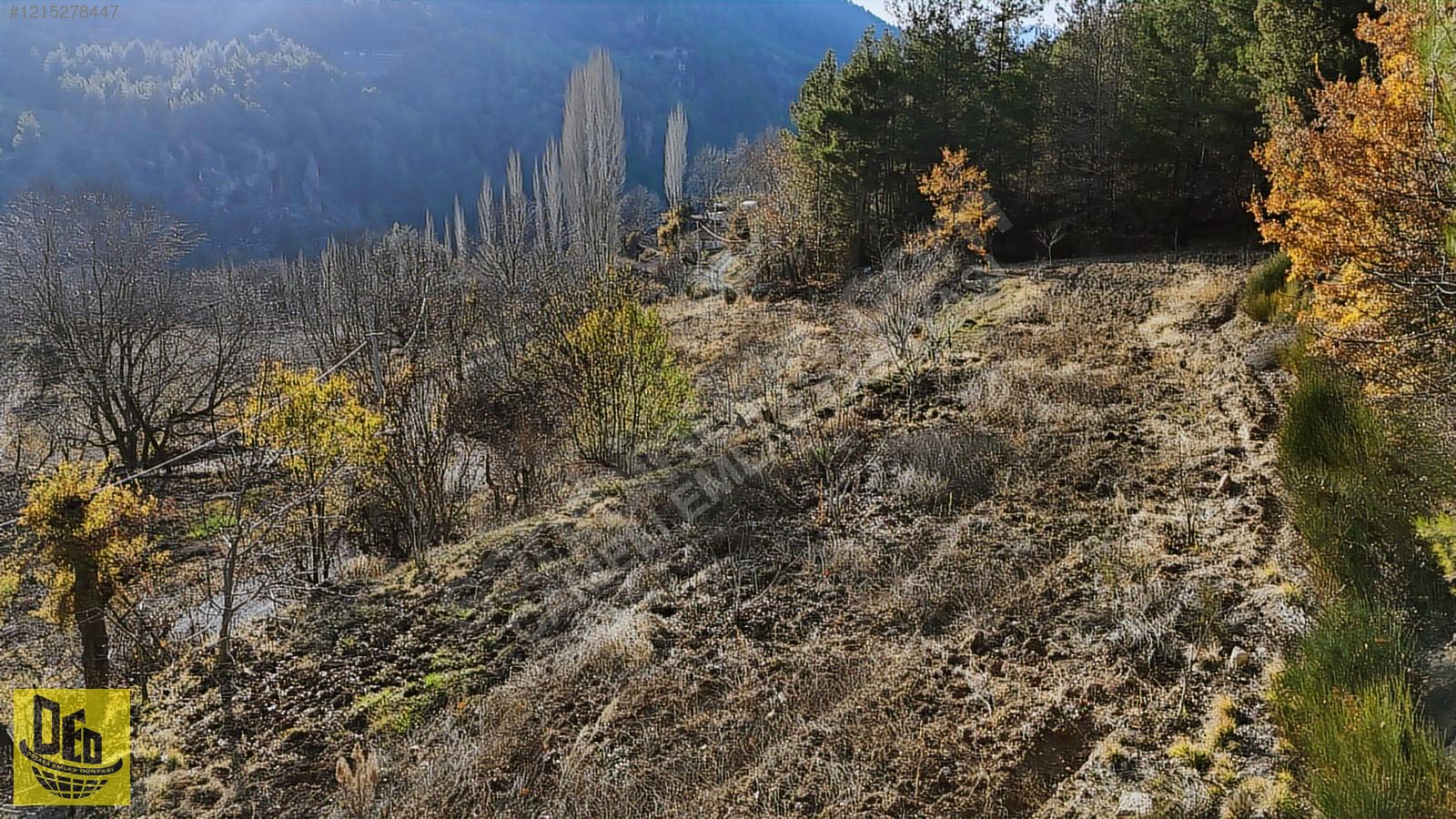 EMECİK 3460m2 YOLA CEPHE ELEKTRİK VE SUYU OLAN CEVİZ BAHÇESİ - DENİZLİ ÇAMELİ fotoğraf 7