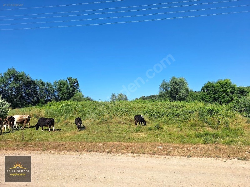 KARASU KUZULUK MAHALLESİNDE SATILIK 7.170 M2 TARLA - SAKARYA KARASU fotoğraf 7