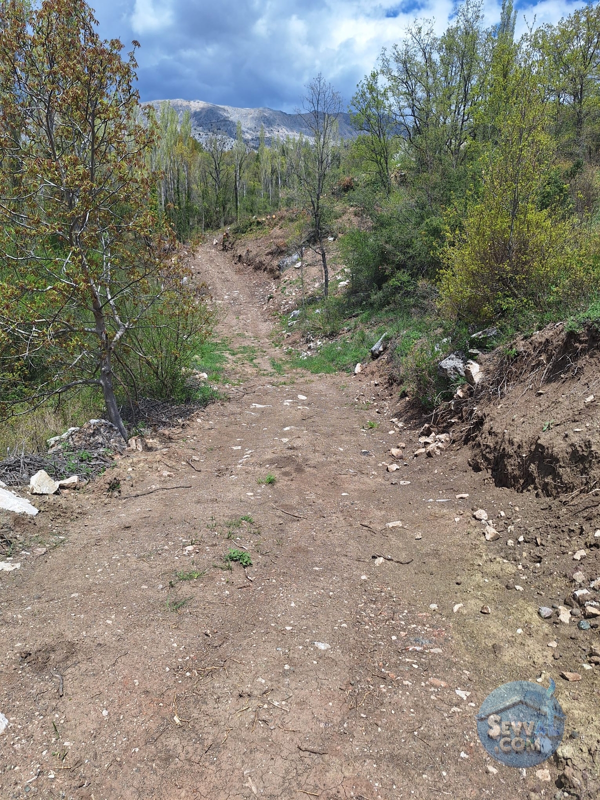 AĞLASUN SAKARCA MAHALLESİNDE SATILIK MUHTELİF ARSA - Burdur Ağlasun fotoğraf 9