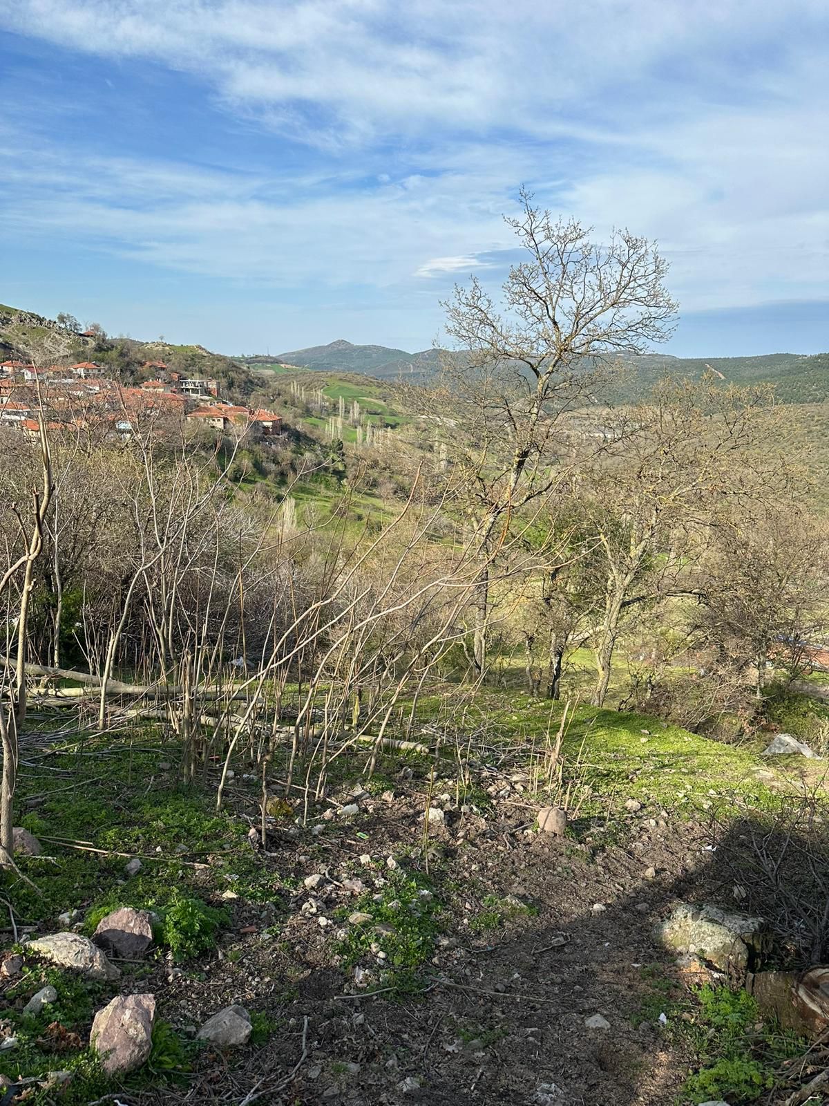 BALIKESİR ALTIEYLÜL DEDEBURNU   KÖYÜNDE 1.969  M²  TARLA  SATILIKTIR - BALIKESİR ALTIEYLÜL fotoğraf 13
