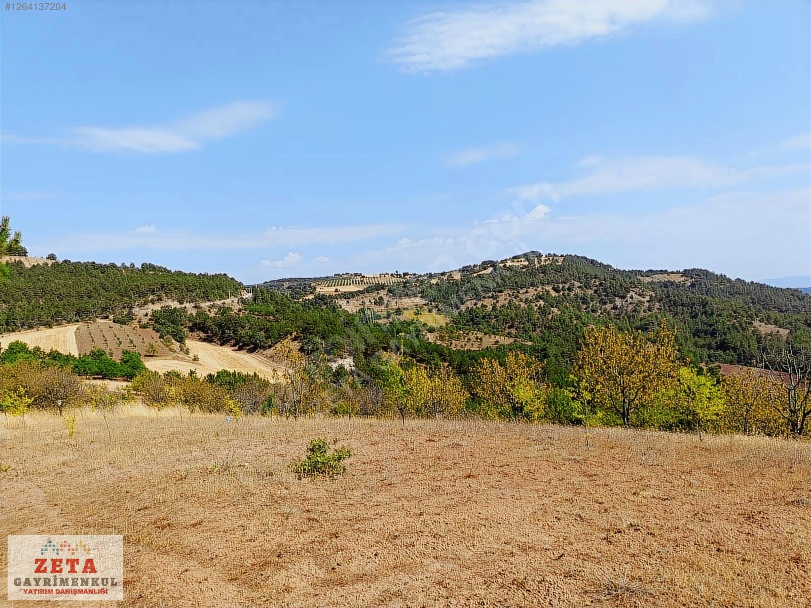 Sakarya Taraklı'da Manzaralı 5.291 m² Hobi Bahçesi/Yatırımlık - SAKARYA TARAKLI fotoğraf 2