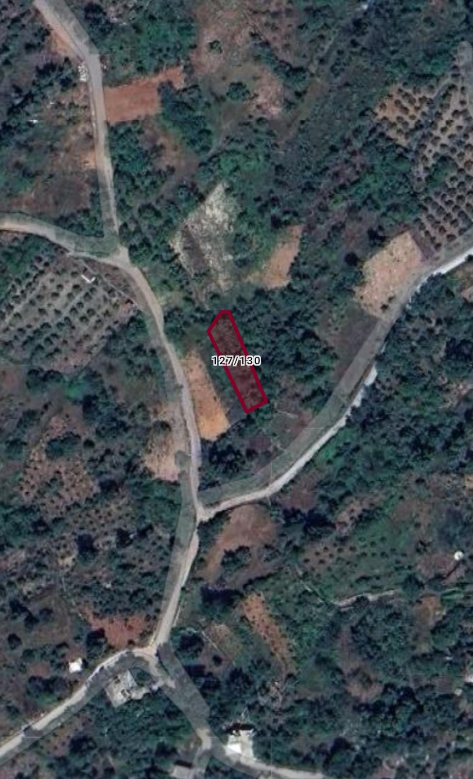 ANTALYA ALANYA KARAMANLAR MAHALLESİ 368 M² TARLAMIZ SATILIKTIR.