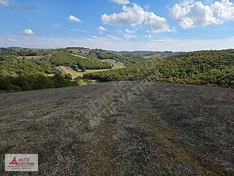 İZMİT KAYNARCA'DA TERAS KONUMDA 1449 M2 SATILIK FIRSAT TARLA - KOCAELİ İZMİT fotoğraf 21