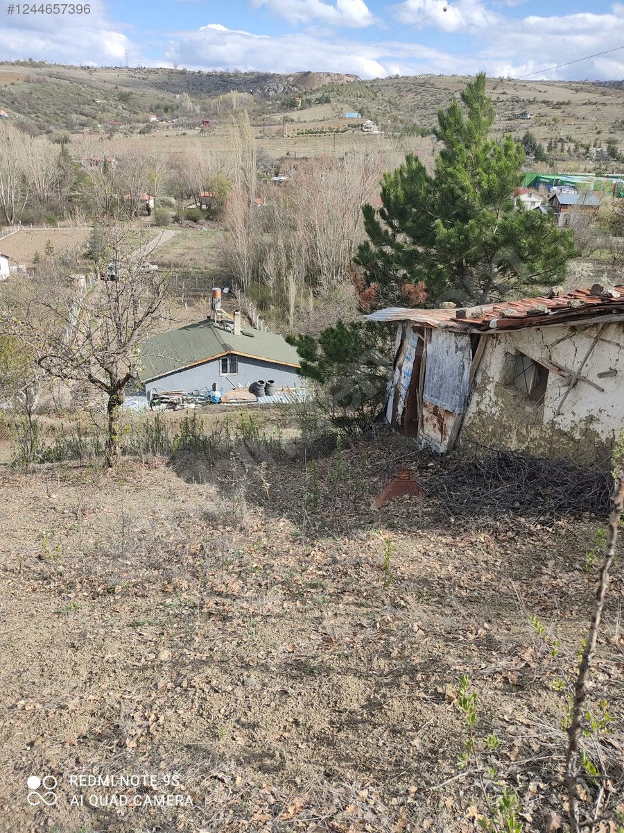 ANKARA ELMADAĞ TATLICA KÖYÜNDE 627 M² BAHÇEMİZ SATILIKTIR. - ANKARA ELMADAĞ fotoğraf 9