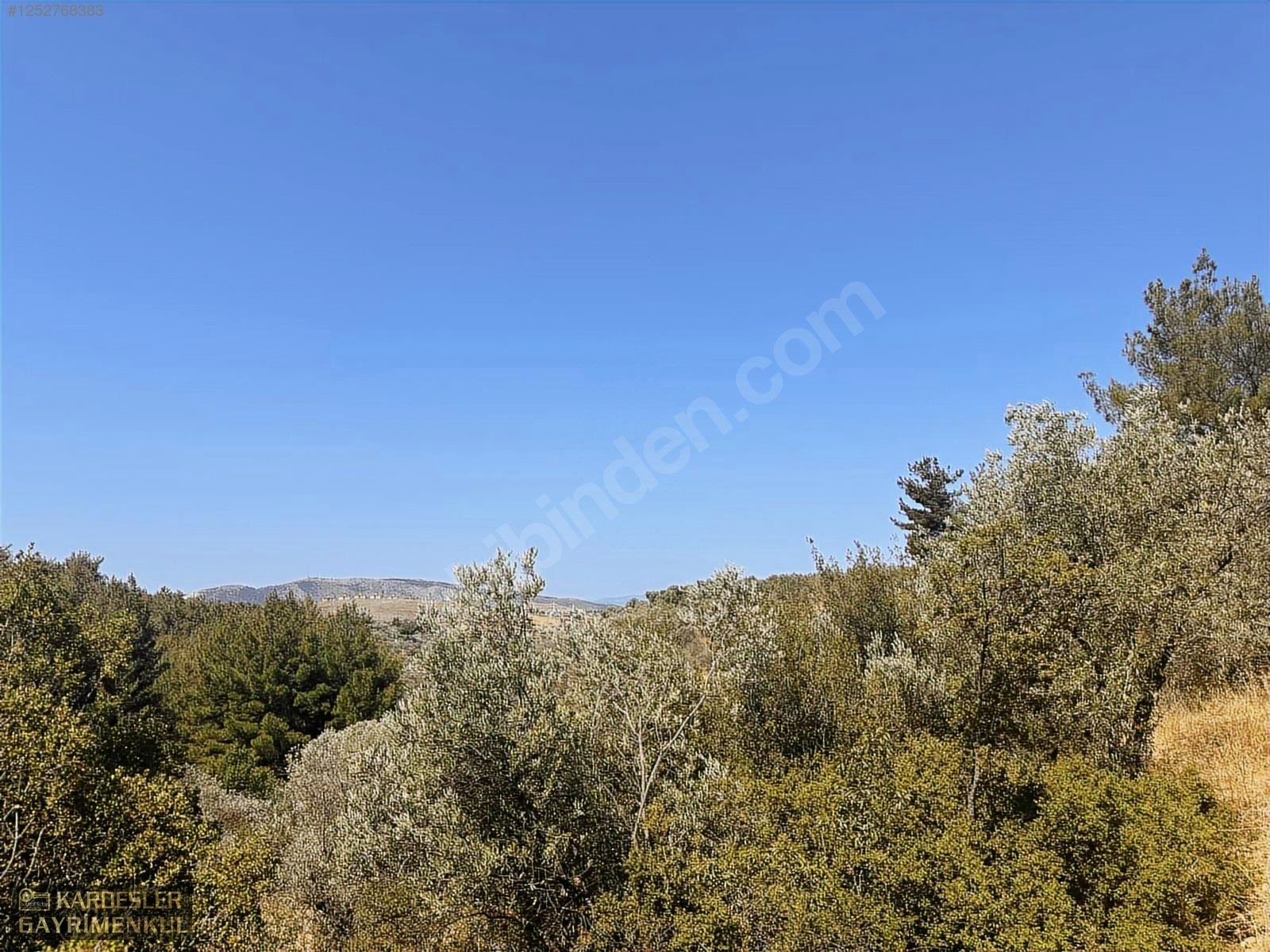SATILIK CUMHURİYET MAHALLESİNDE TEK TAPU 4.489m2 ZEYTİNLİK - MANİSA AKHİSAR fotoğraf 10