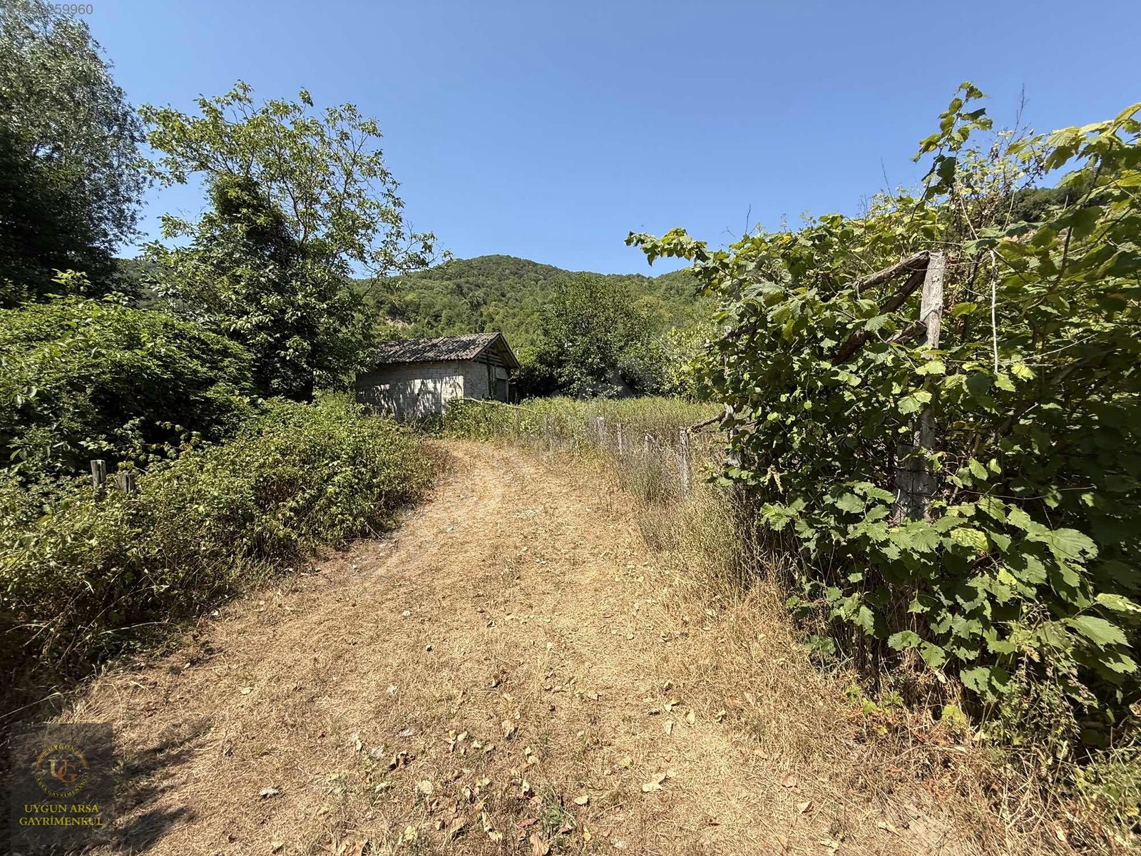 KASTAMONU CİDE ÇAYÜSTÜN'DE DENİZE 1 KM MESAFE'DE İMARLI ARSA - KASTAMONU CİDE fotoğraf 17