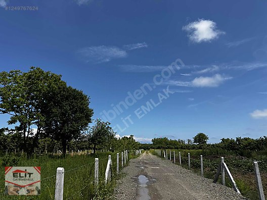 KARASU KUYUMCULUDA SATILIK 463 M2 FIRSAT ARSA - SAKARYA KARASU fotoğraf 9
