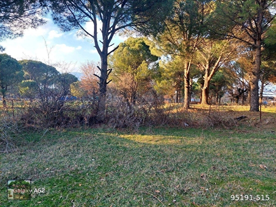 BERGAMA KOZAK YAYLASI KARAVELİLER MAH DE 2360 m2 BAHÇE - İZMİR BERGAMA fotoğraf 9
