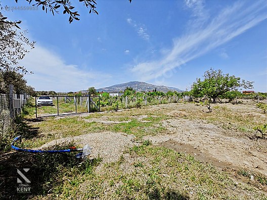 Kemalpaşa Armutlu Satılık 1120 m2 Bahçe - İZMİR KEMALPAŞA fotoğraf 10