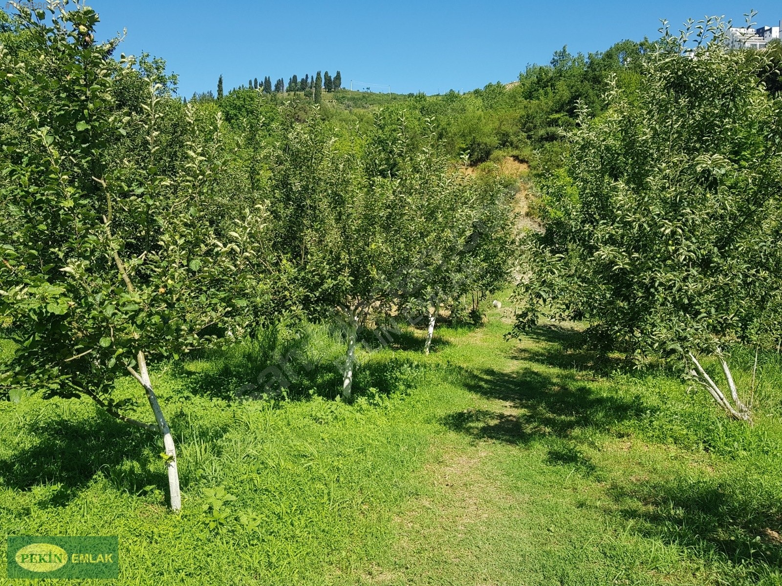 PEKİN EMLAKTAN İZMİT TE SATILIK ARAZİ - KOCAELİ İZMİT fotoğraf 14
