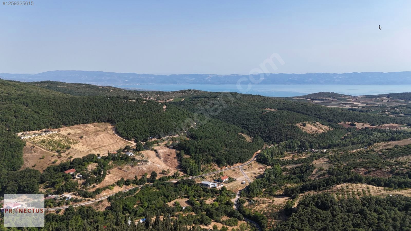 İZNİK YÖRÜKLER MAH. 7590 M2 GÖL MANZARALI ARSA - BURSA İZNİK fotoğraf 3