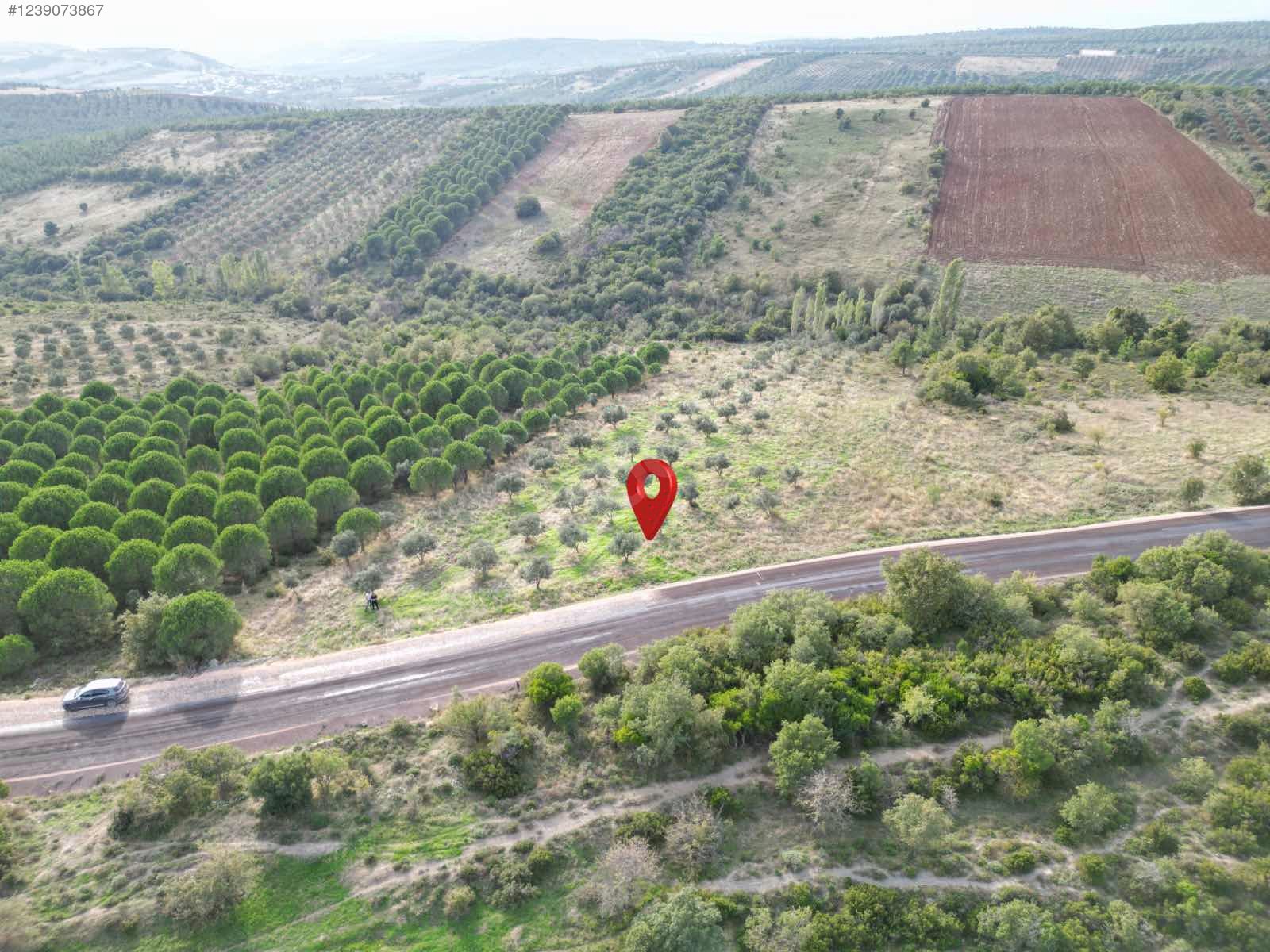 BURSA KARACABEY DOĞLA 'DA 8.600  M²  TARLA  SATILIKTIR. - BURSA KARACABEY fotoğraf 8