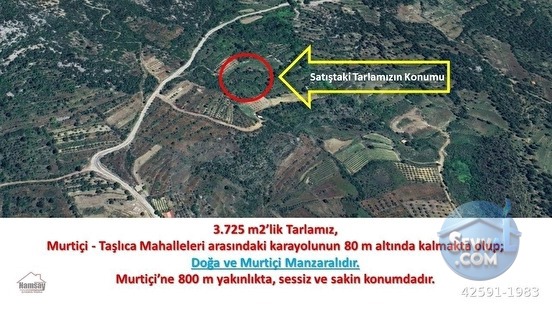 Murtiçine Yakın Konumda Acil Satılık Tarla - ANTALYA AKSEKİ fotoğraf 24