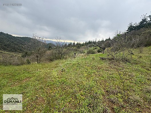 DOĞA İÇERİSİNDE 10 DÖNÜM FIRSAT BAHÇE - BİLECİK İNHİSAR fotoğraf 16