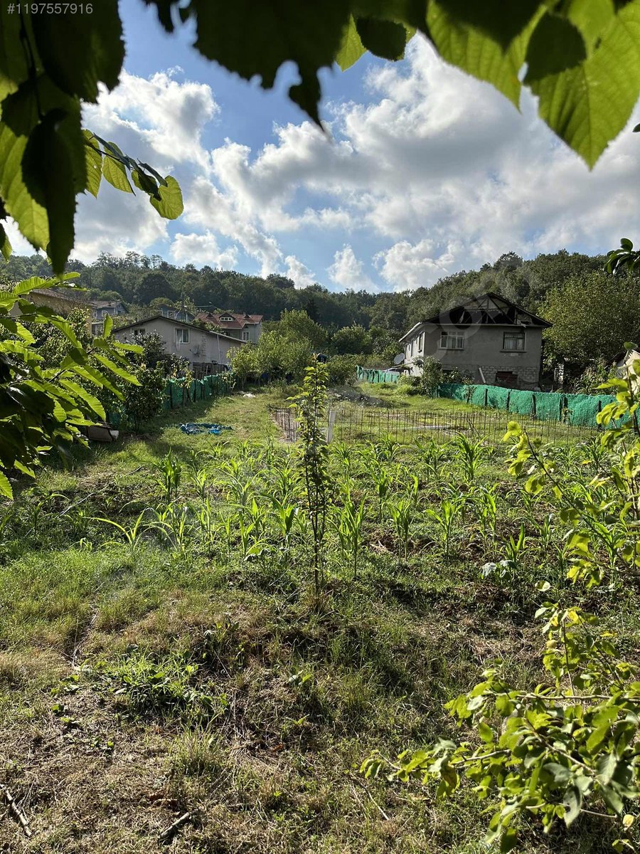 Beykoz'da Yeşillikler İçerisinde İmarlı Kelepir Arsa. - İSTANBUL BEYKOZ fotoğraf 7