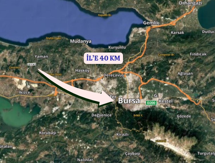 BURSA MUDANYA YÖRÜKYENİCESİ  KÖYÜNDE 4.419 M² ZEYTİNLİK SATILIKTIR. - BURSA MUDANYA fotoğraf 6