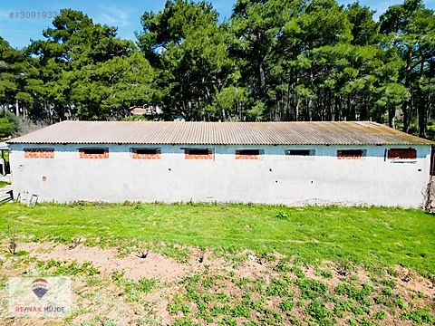 Çanakkale Bayramiç Kutluoba Satılık Tarla - ÇANAKKALE BAYRAMİÇ fotoğraf 19