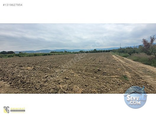 Ali Bey Köy'de Satılık Tarla 7884 M², Sulama Hatlı, Yola Yakın - BURSA İNEGÖL fotoğraf 5
