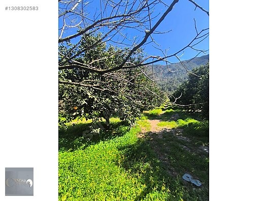 KONYAALTI GÖKDEREDE SARISUYA KOMŞU 8422 m² DEV ARAZİ YATIRIMLIK - ANTALYA KONYAALTI fotoğraf 9