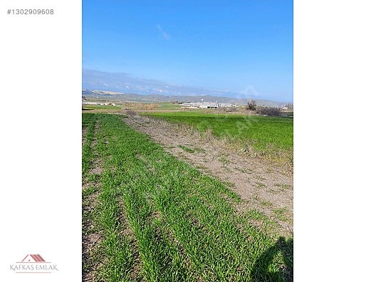 BOĞAZKÖYDE İMAR SINIRINDA 17.700M2 TARLA - BURSA MUSTAFAKEMALPAŞA fotoğraf 10