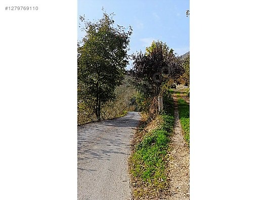 2570 m2 İCERİSİNDE 200m2 YOLA SIFIR YAPILI DUBLEKS DAİRE - GİRESUN PİRAZİZ fotoğraf 27