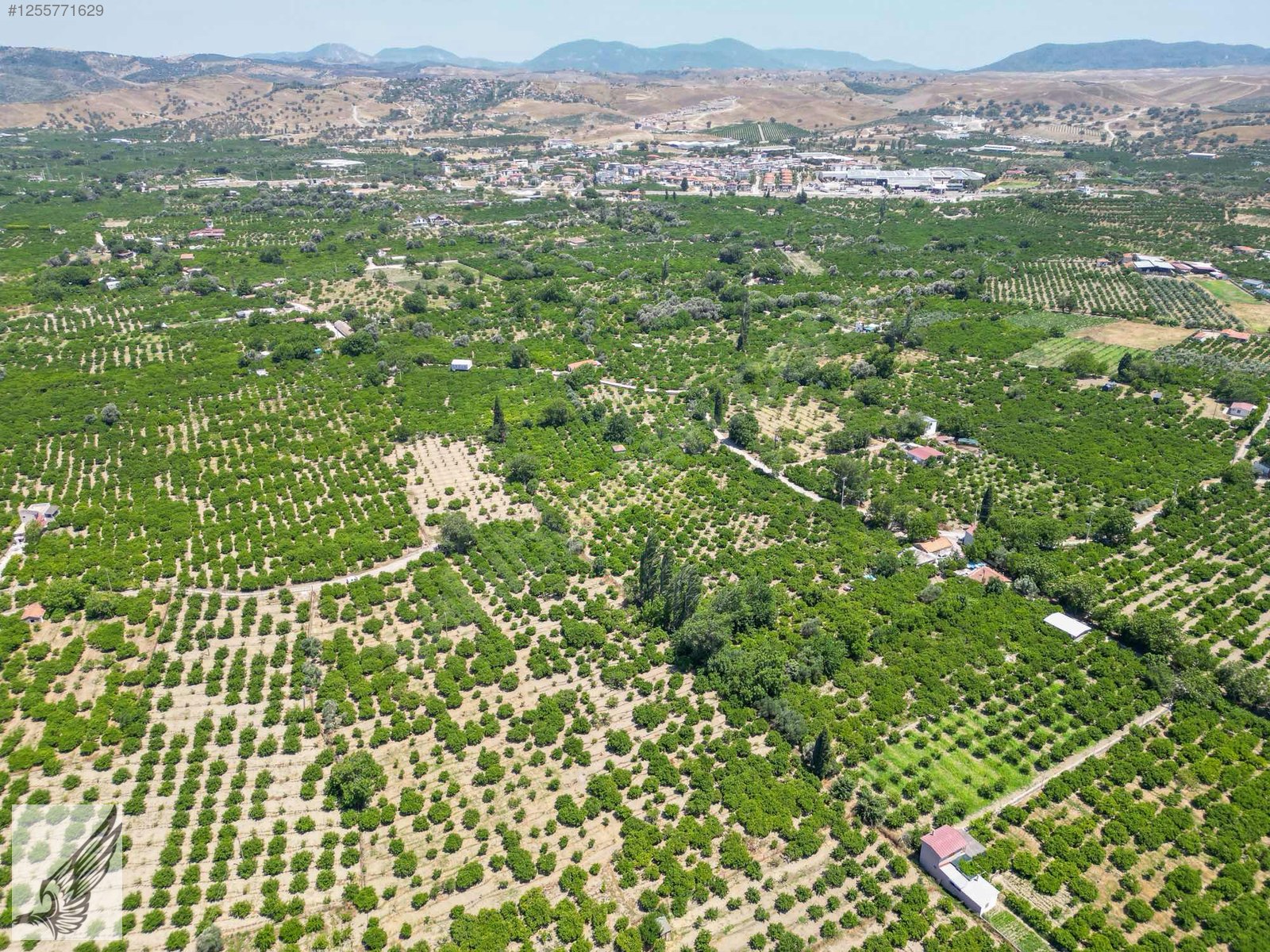 Seferihisar Hıdırlık Mahallesi 5.700M2 Satılık Mandalina Bahçesi - İZMİR SEFERİHİSAR fotoğraf 7