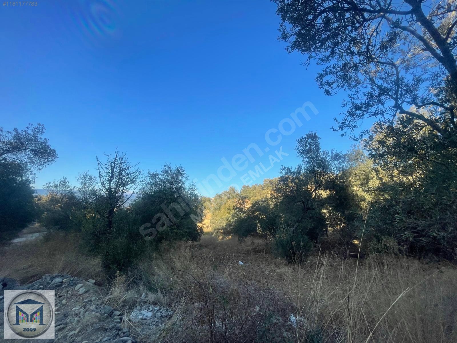 PELİTKÖY SAHİLDE İMARA 650 METRE SATILIK 6.500M2 ZEYTİNLİK - BALIKESİR BURHANİYE fotoğraf 13