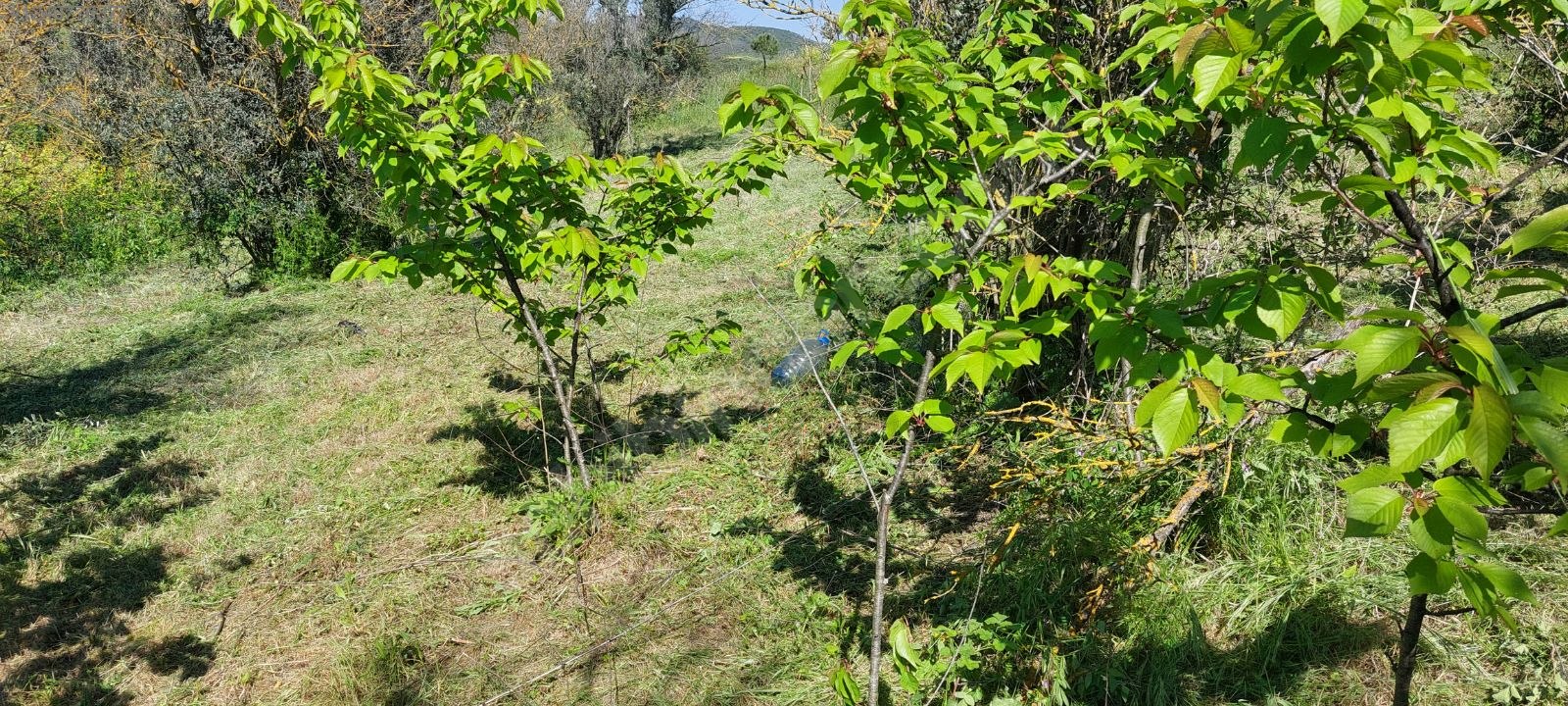 BURSA MUDANYA YALIÇİFTLİK 1.697 M² TARLA SATILIKTIR. - BURSA MUDANYA fotoğraf 9
