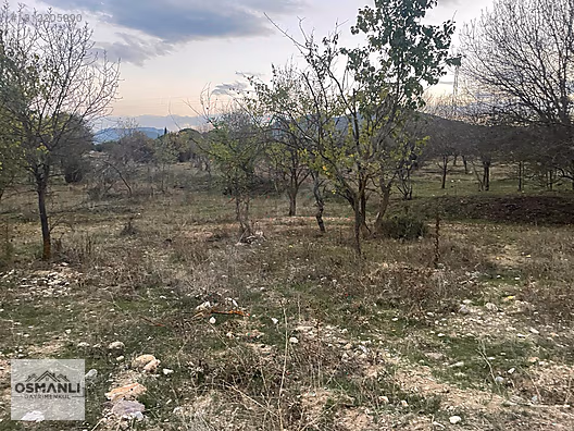 HAMİTABAT KÖYÜ VE SAKARYA NEHRİNE 200 MT MESAFEDE SERA ARAZİSİ - BİLECİK SÖĞÜT fotoğraf 7