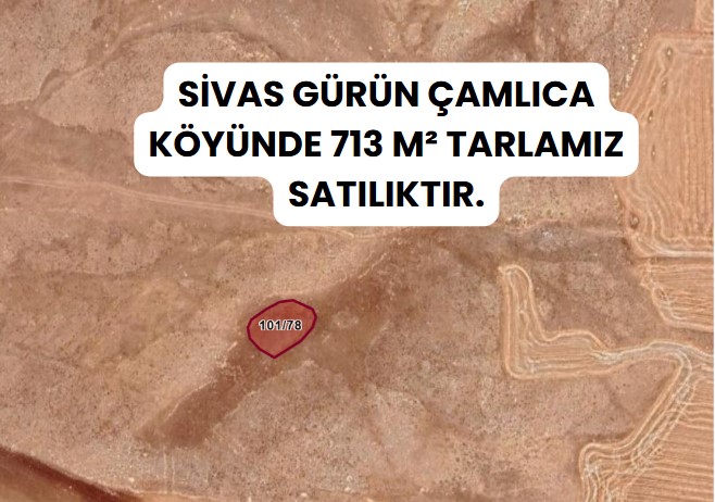 SİVAS GÜRÜN ÇAMLICA KÖYÜNDE 713 M² TARLA SATILIKTIR - SİVAS GÜRÜN fotoğraf 2
