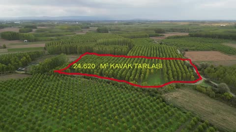 YATIRIM FIRSATI! ERENLER/ŞEYHKÖY MAH. 24.620 M² - SAKARYA ERENLER fotoğraf 3