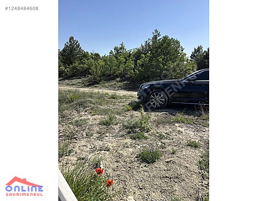 RESMİ YOLLU ARAZİ - BİLECİK YENİPAZAR fotoğraf 12