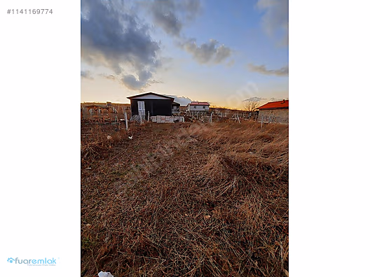 ALTINDAĞ GİCİKTE ELEKTİRİK SUYU YOLU OLAN SATILIK HOBİ BAHÇESİ - ANKARA ALTINDAĞ fotoğraf 4