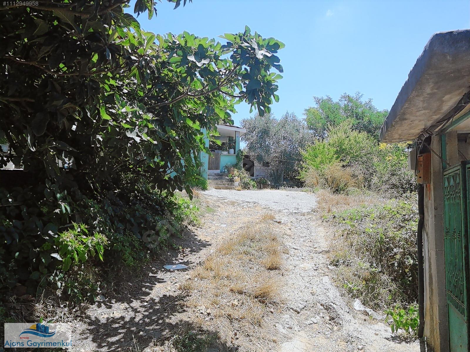 İncirköy de 800 m2 Arsa İçinde İki Adet Tek Katlı Müstakil Ev - İSTANBUL BEYKOZ fotoğraf 2