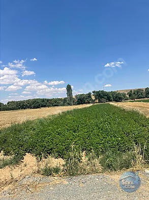 KONYA AKŞEHİR YEŞİLKÖY DE 917 M² TARLAMIZ SATILIKTIR - KONYA AKŞEHİR fotoğraf 5