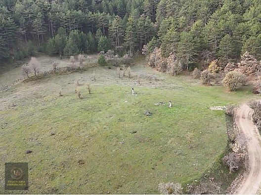 BOLU MUDURNU'DA OTELLER BÖLGESİNDE 7.965M2 UYGUN ARSA - BOLU MUDURNU fotoğraf 13