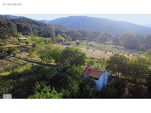 ÇANAKKALE BAYRAMİÇ BEŞİK KÖYÜ 6.900 m2 MEYVA BAHÇESİ 96 m2 EV - ÇANAKKALE BAYRAMİÇ fotoğraf 29