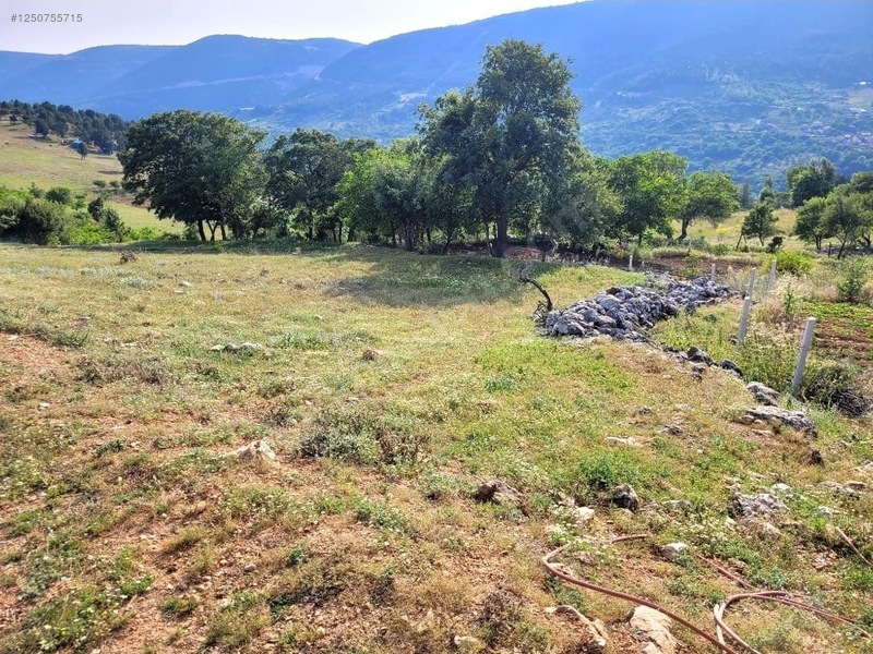 BURSA KELEŞ GELEMİŞ 2.254  M²  TARLA SATILIKTIR. - BURSA KELES fotoğraf 6