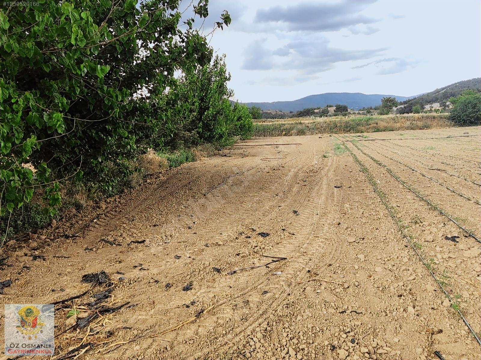 600 M2 NEHİR KENARI RESMİ YOLU OLAN MERKEZE YAKIN TARLA - BİLECİK OSMANELİ fotoğraf 5