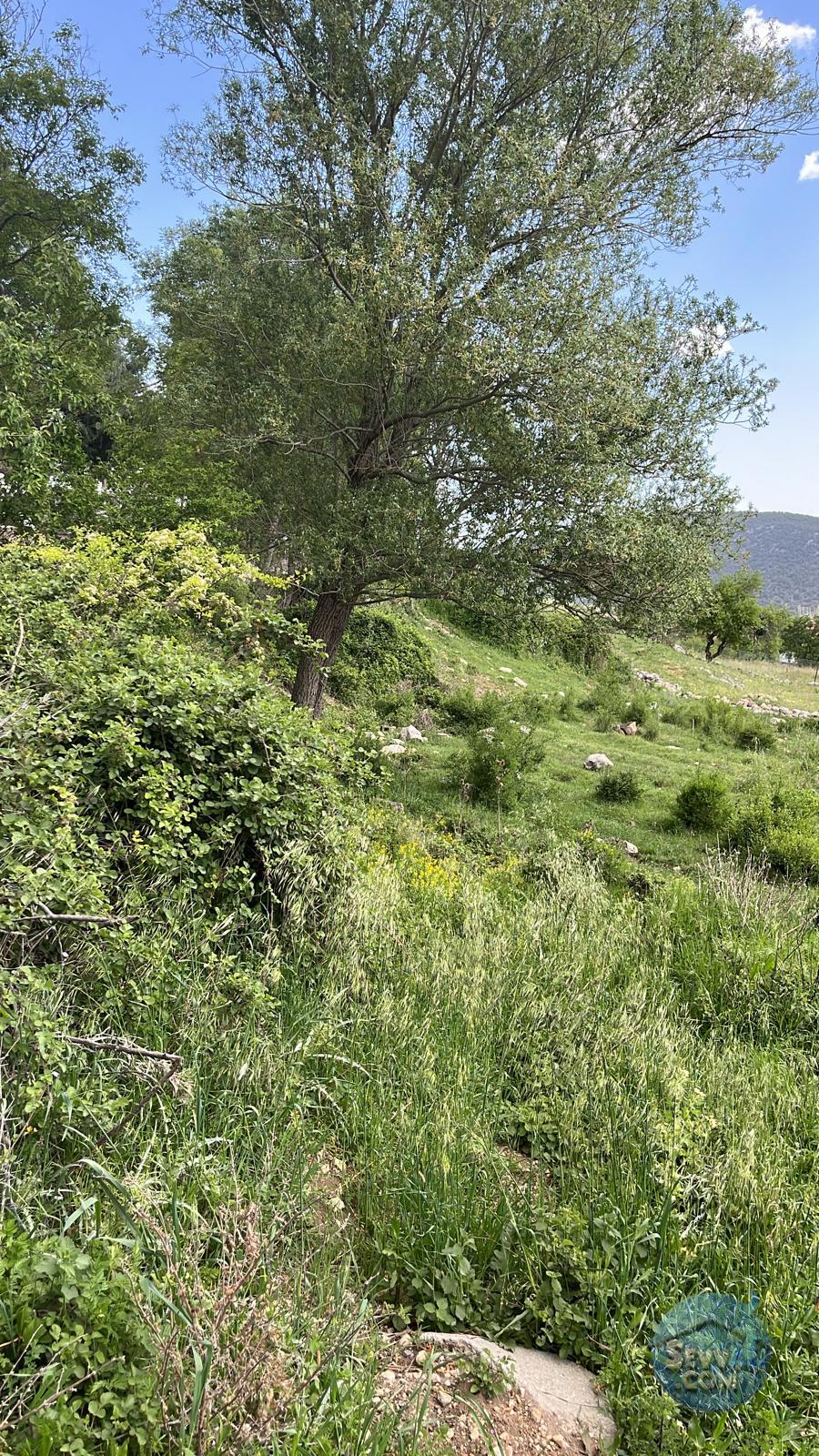 AĞLASUN YAZIR KÖYÜNDE FIRSAT ARAZİ - BURDUR AĞLASUN fotoğraf 15