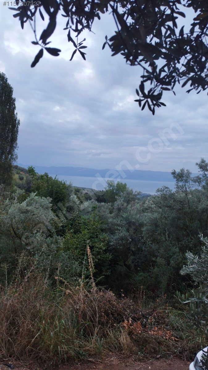 BURSA İZNİK MAHMUDİYE MAHALLESİ'NDE 774 M²  BAĞIMIZ SATILIKTIR - BURSA İZNİK fotoğraf 7