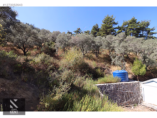 Kemalpaşa Aşağıkızılca Satılık 4536 m2 Bahçe - İZMİR KEMALPAŞA fotoğraf 7