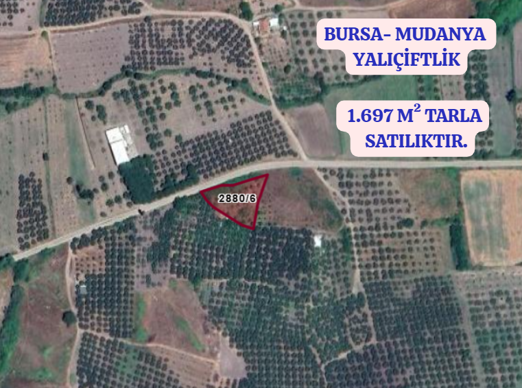 BURSA MUDANYA YALIÇİFTLİK 1.697 M² TARLA SATILIKTIR. - BURSA MUDANYA fotoğraf 2