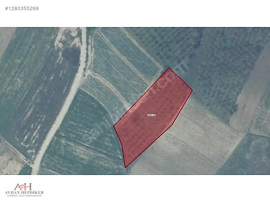 AYHAN HEPDİKer DEN Şehytimarın da yola bir parsel 2880 m2 tarla - SAKARYA KAYNARCA fotoğraf 13
