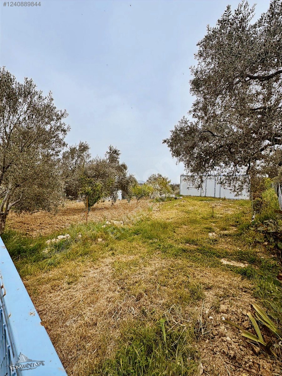 EMİR EMLAK GAYRİMENKUL DEN SATILIK HOBİ BAHÇESİ - İZMİR KEMALPAŞA fotoğraf 3