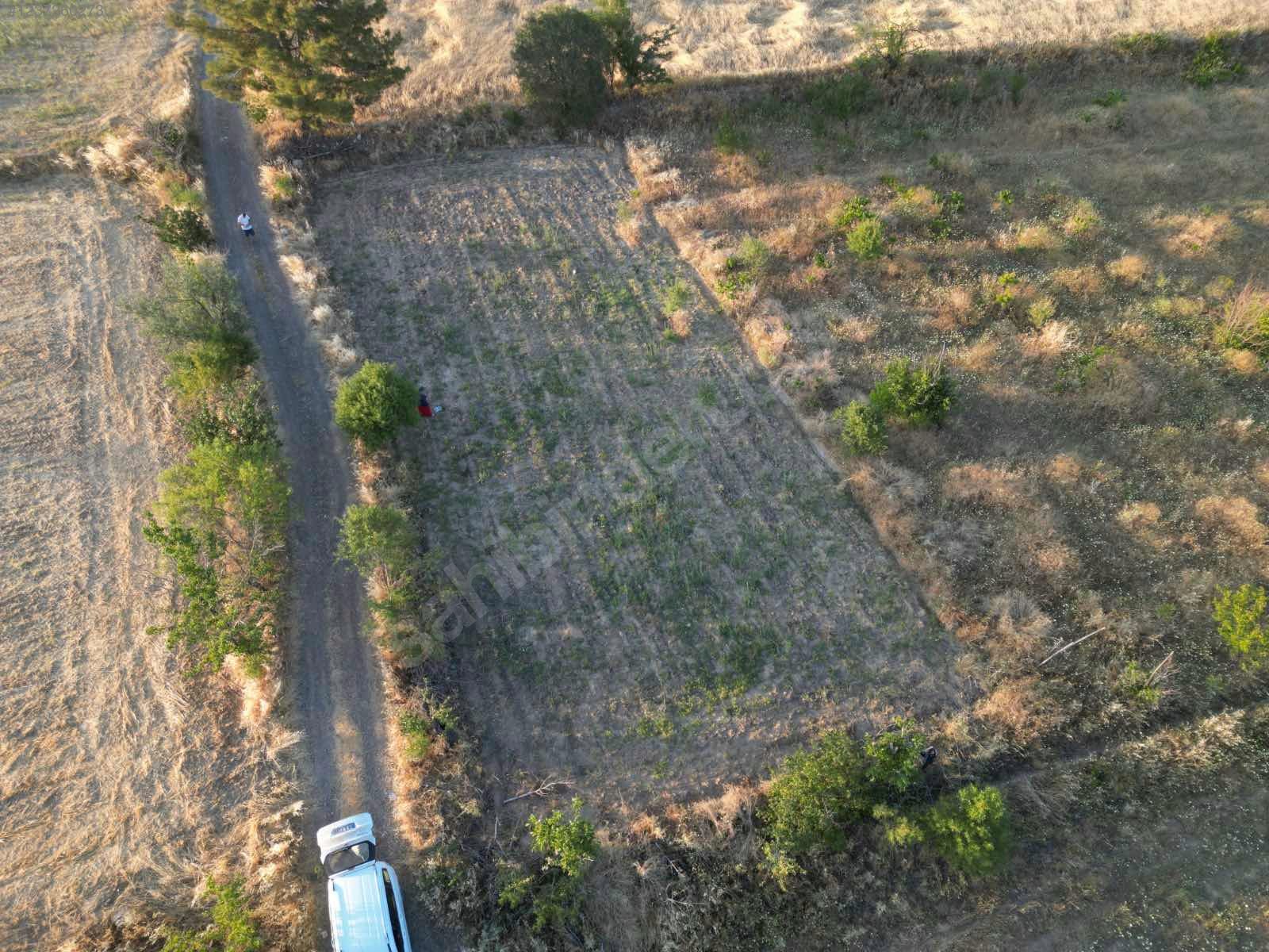 DENİZLİ ACIPAYAM YEŞİLYUVA KÖYÜNDE   804 M²  BAĞ SATILIKTIR - DENİZLİ ACIPAYAM fotoğraf 13
