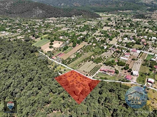 KUŞADASI KİRAZLI KÖYÜ’NDE SATILIK 5740 M2 TARLA - AYDIN KUŞADASI fotoğraf 9