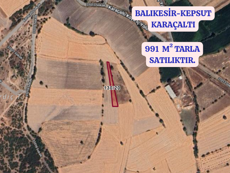 BALIKESİR KEPSUT KARAÇALTI  KÖYÜNDE 991 M² TARLA SATILIKTIR - BALIKESİR KEPSUT fotoğraf 2
